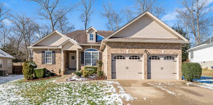 419 Anthony Branch Drive, Mount Juliet