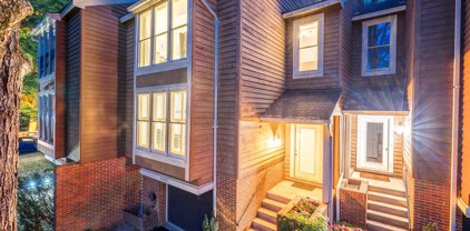 11403 Orchard Green Ct, Reston