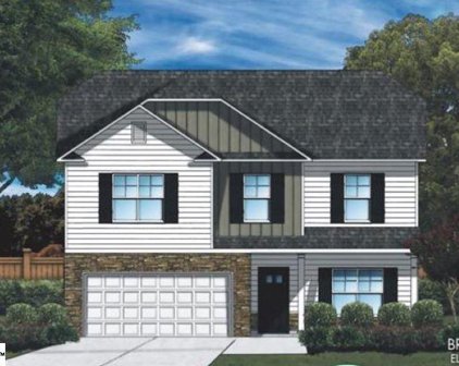 160 Strongridge Trail Unit Lot 250, Simpsonville