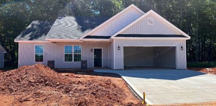 111 Caylee, Chesnee