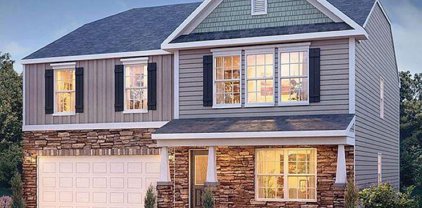 1309 Chamomile, Lyman