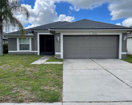 8438 Carriage Pointe Drive, Gibsonton