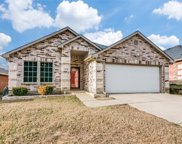 3209 Clydesdale Drive, Denton image