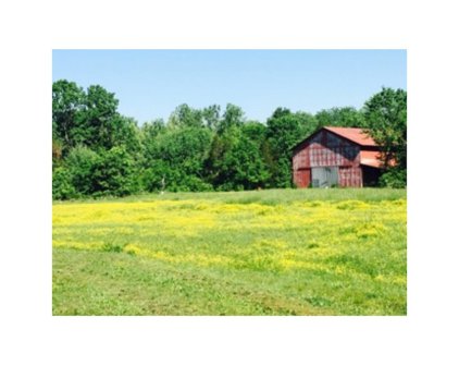 Pumpkin Rd, Shepherdsville
