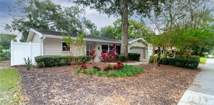 1359 Williams Drive, Clearwater
