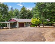 16011 NE 249TH ST, Battle Ground image