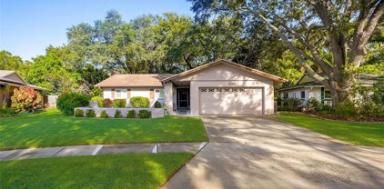 1157 Dale Circle E, Dunedin