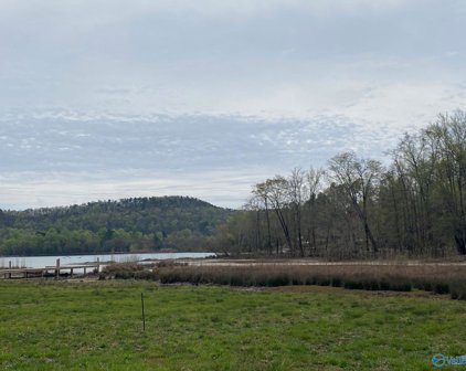 lot 17 County Road 243, Cedar Bluff