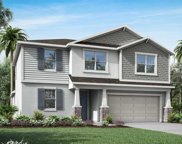 3008 Angelonia Thorn Way Unit LOT 467, Clermont image