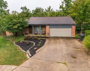 911 Appaloosa Court, Villa Hills image
