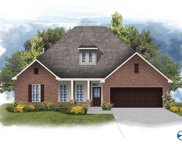 12611 Hudbug Drive, Madison image