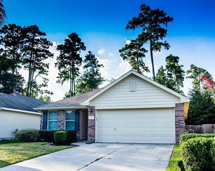 87 Hockenberry Place, The Woodlands