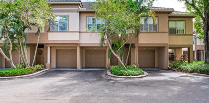 810 Normandy Trace Road, Tampa