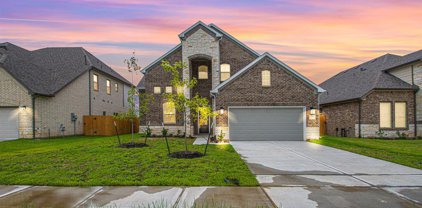 12 Palmero Way, Manvel