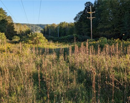 Etna  Road, Dryden-502489