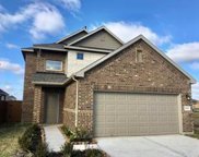 10066 Gold Finch, Magnolia image