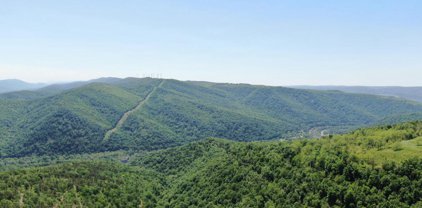299+- Acres Off Of Pond Hill Rd, Mccoole