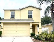 7850 Carriage Pointe Drive, Gibsonton image