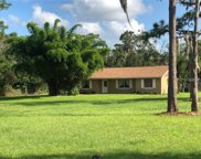4814 Robin Drive, St Cloud (Narcoossee Road) image