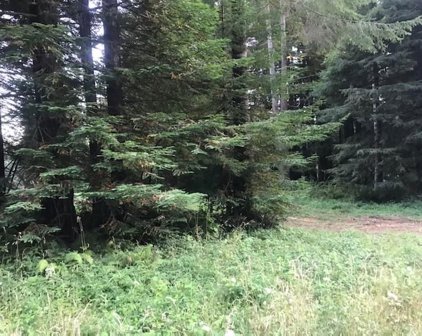 Lot 18 Bell Hole Loop, Crescent City