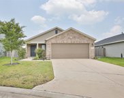 21438 Hawthorn Harvest Circle, Katy image