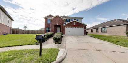3803 Tammony Park Lane, Friendswood