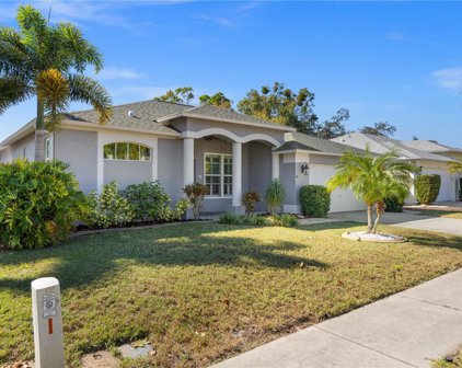 716 Sandy Hills Avenue, Tarpon Springs