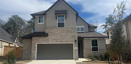 145 Pineview Cove Court, Montgomery