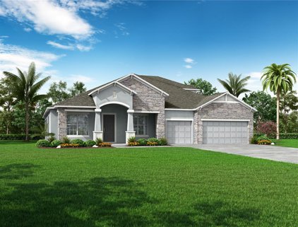 10128 Dolphin Gull Circle, Thonotosassa