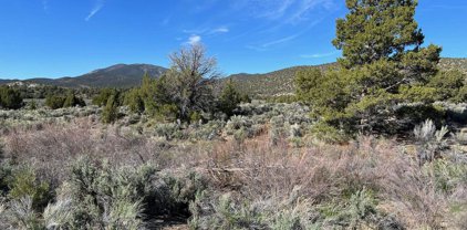 TBD Pine Nut Mountains (53), Gardnerville