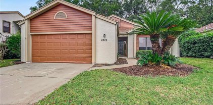 4519 Ne 6th Street, Ocala