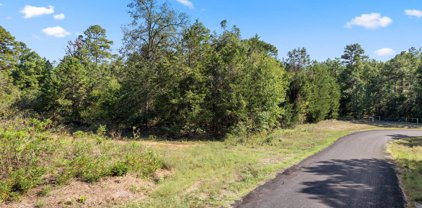 16 Acres CR 3350, Mt Vernon