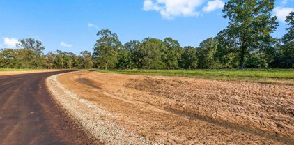 Lot 12 Alans Memorial Lane, New Waverly