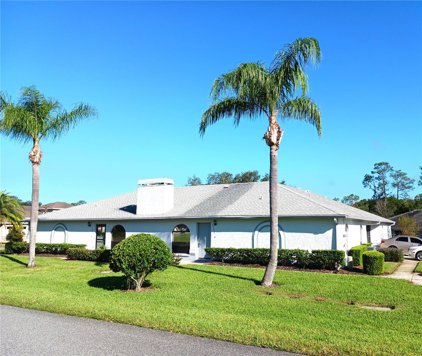23205 Club Villas Drive, Land O' Lakes