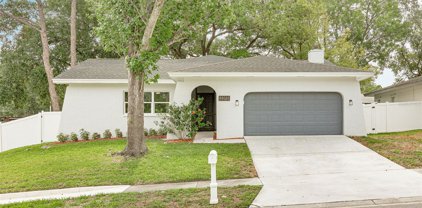 2285 Grove Valley Avenue, Palm Harbor