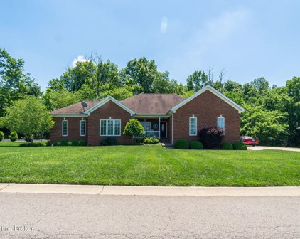 295 Early Wyne Dr, Taylorsville
