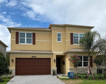 32203 Mahogany Valley Drive, Wesley Chapel