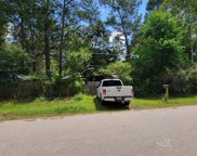 23815 Brushy Trails Street, Hockley image