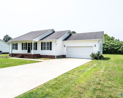 35 County Road 820, Scottsboro