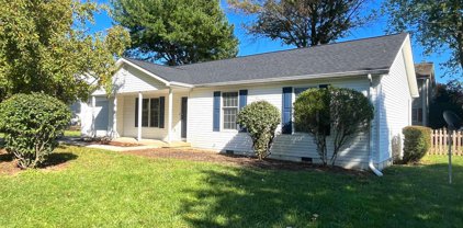 253 Ambler Ln, Falling Waters