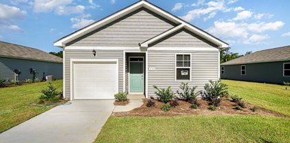 409 Bearskin Ct., Longs