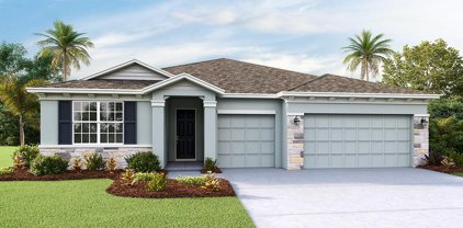 23326 Scaglione Drive, Lutz