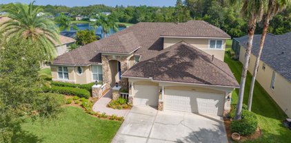 17611 Archland Pass Road, Lutz