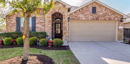 334 Briar Park Drive, Georgetown