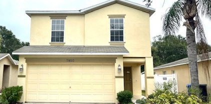 7850 Carriage Pointe Drive, Gibsonton