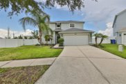 7803 Abbey Mist Cove, Tampa image