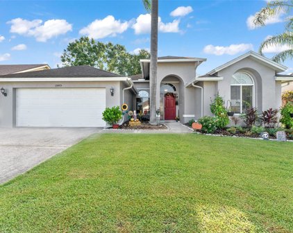 13405 Roslyn Place, Tampa