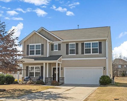 1033 Blue Stream  Lane, Indian Trail