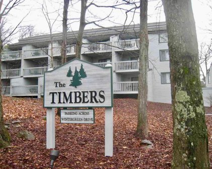 232 Timbers, Wintergreen