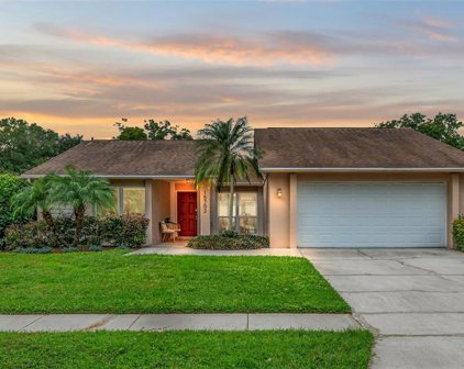 15702 Pinto Place, Tampa